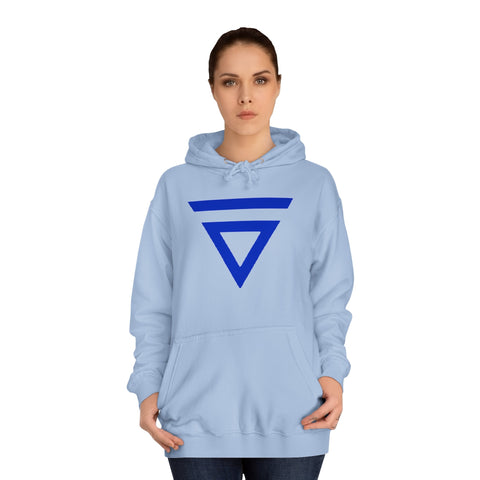 SilentBALL OF Catsansonpectives - Unisex College Hoodie - Globera